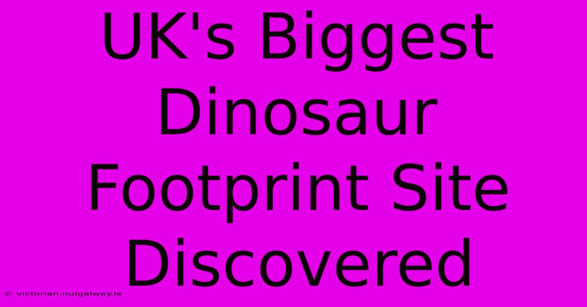 UK's Biggest Dinosaur Footprint Site Discovered