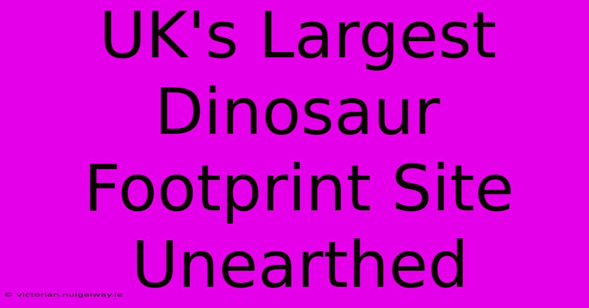 UK's Largest Dinosaur Footprint Site Unearthed