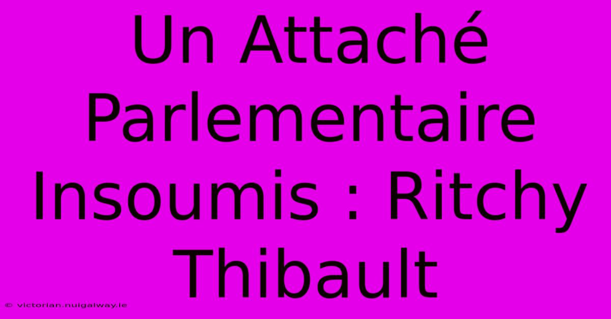 Un Attaché Parlementaire Insoumis : Ritchy Thibault