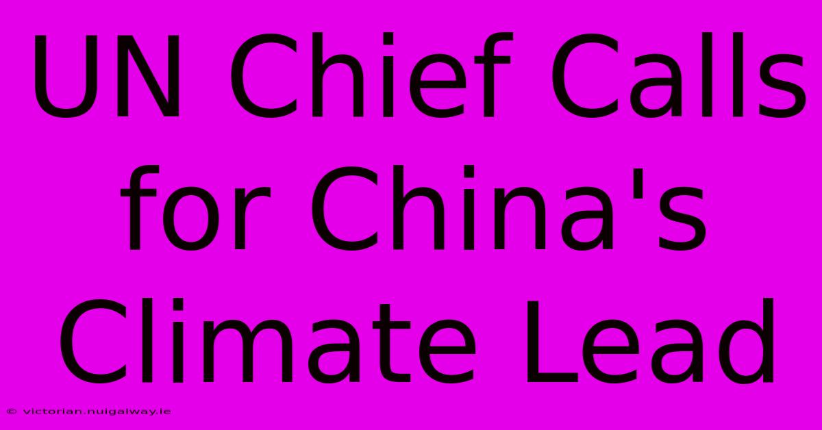 UN Chief Calls For China's Climate Lead