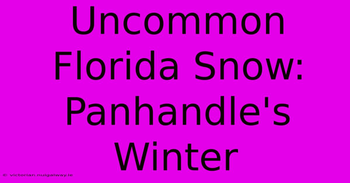 Uncommon Florida Snow: Panhandle's Winter