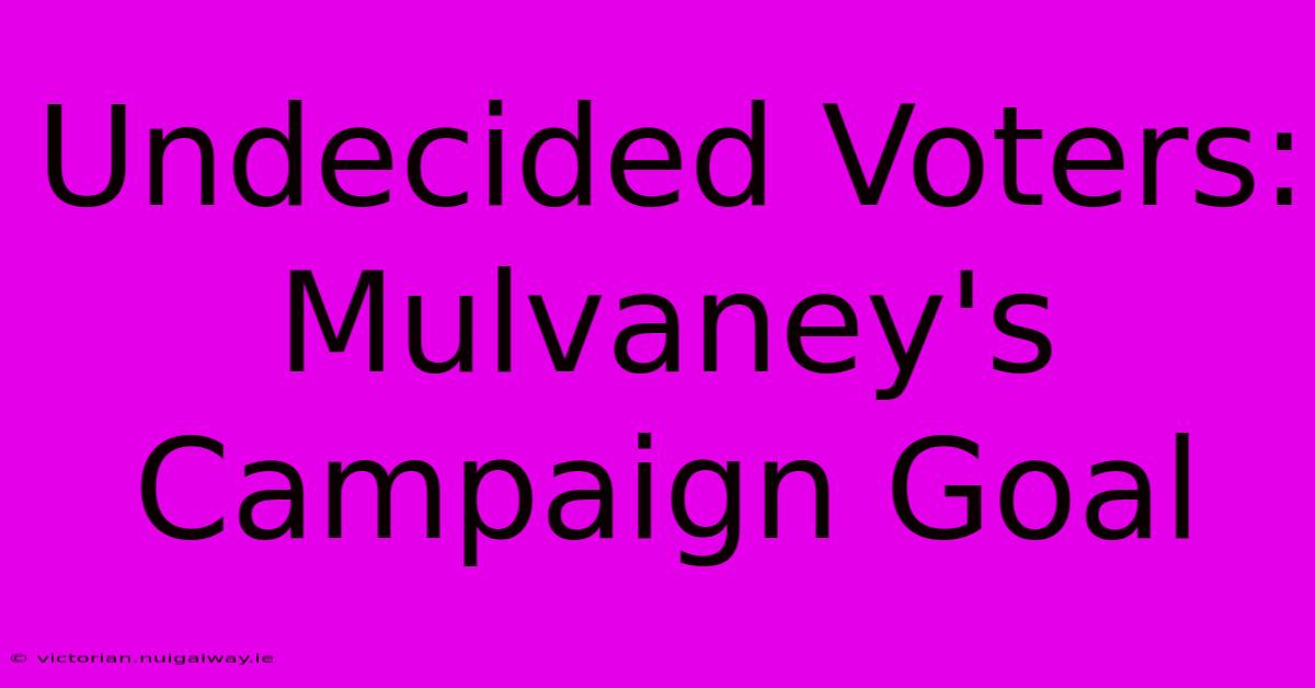 Undecided Voters: Mulvaney's Campaign Goal 