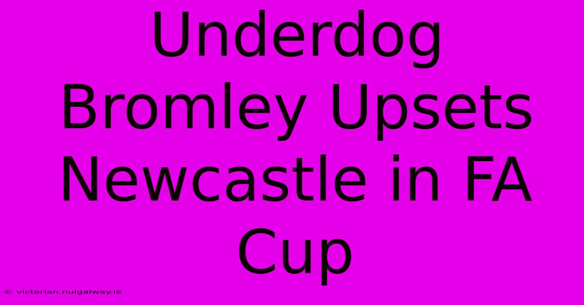 Underdog Bromley Upsets Newcastle In FA Cup