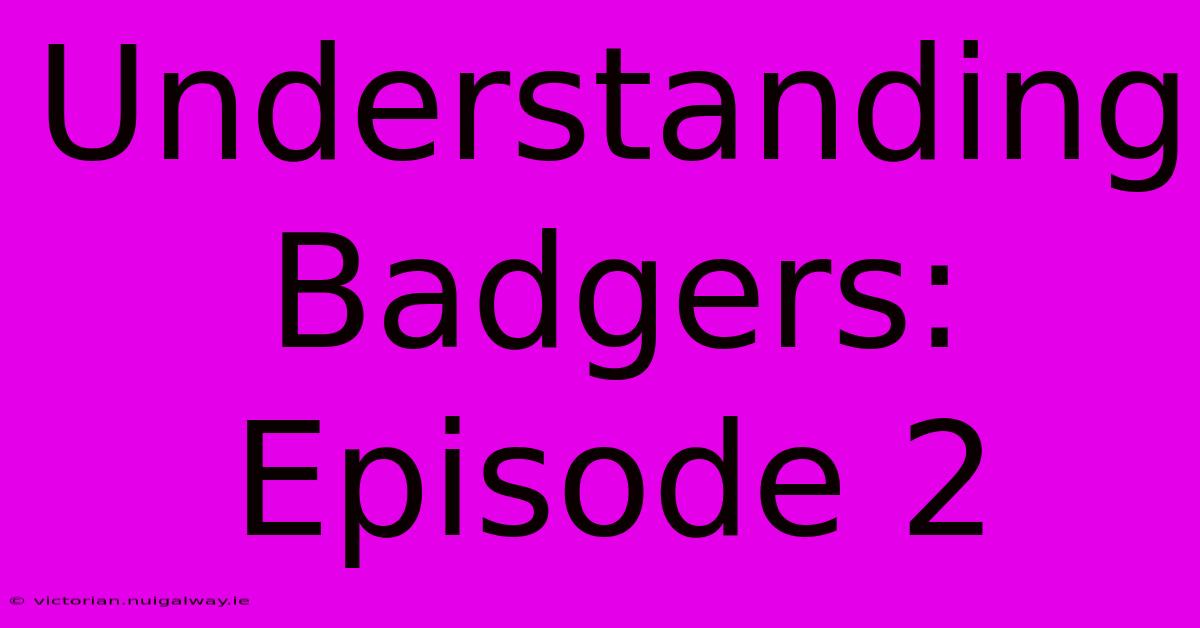 Understanding Badgers: Episode 2