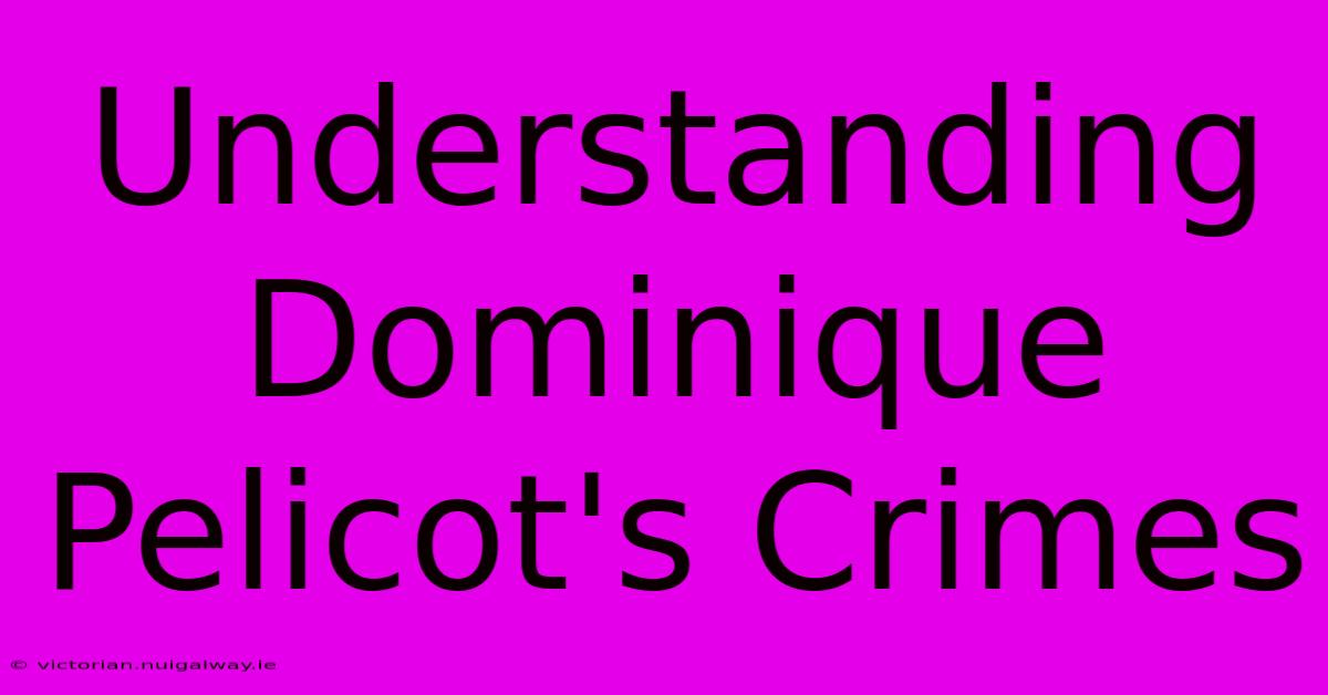 Understanding Dominique Pelicot's Crimes