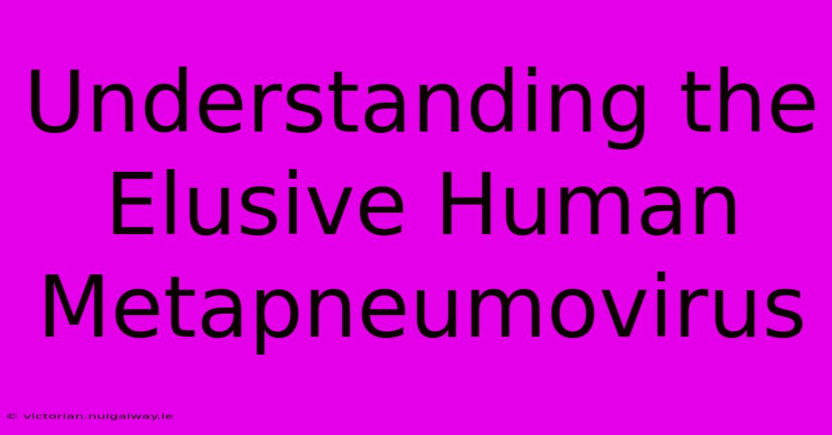 Understanding The Elusive Human Metapneumovirus