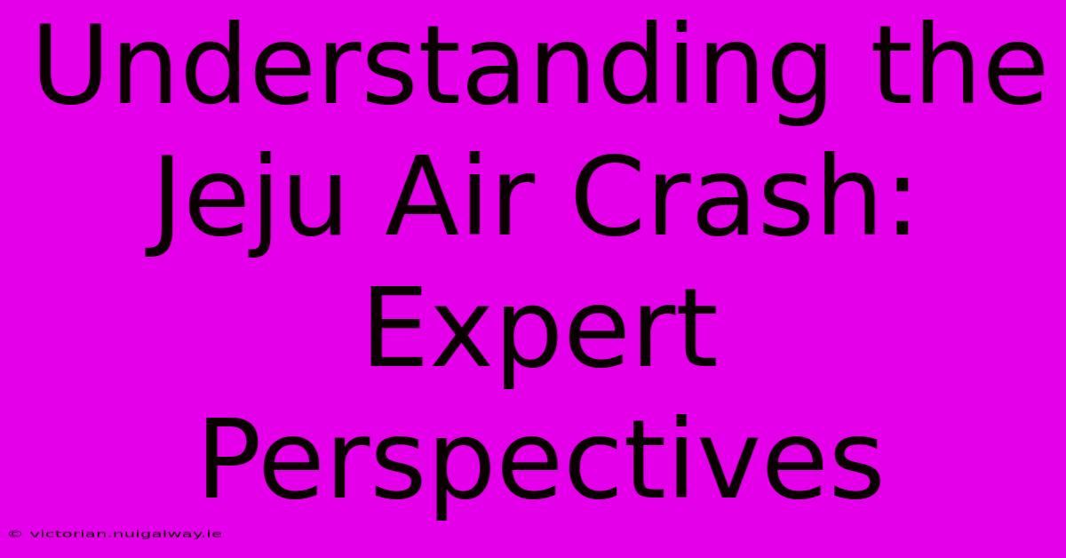 Understanding The Jeju Air Crash: Expert Perspectives