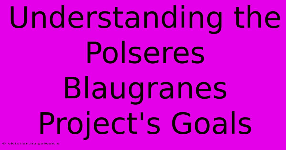 Understanding The Polseres Blaugranes Project's Goals