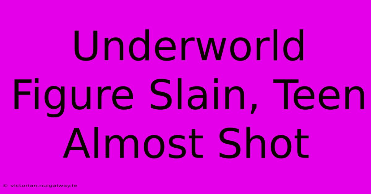 Underworld Figure Slain, Teen Almost Shot