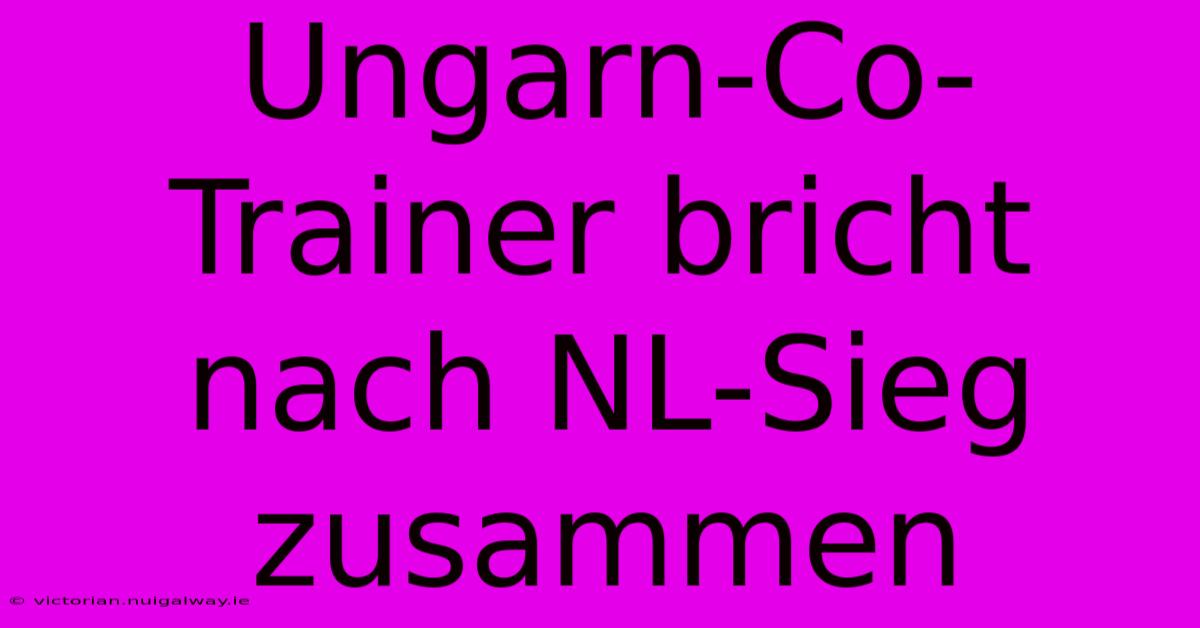 Ungarn-Co-Trainer Bricht Nach NL-Sieg Zusammen