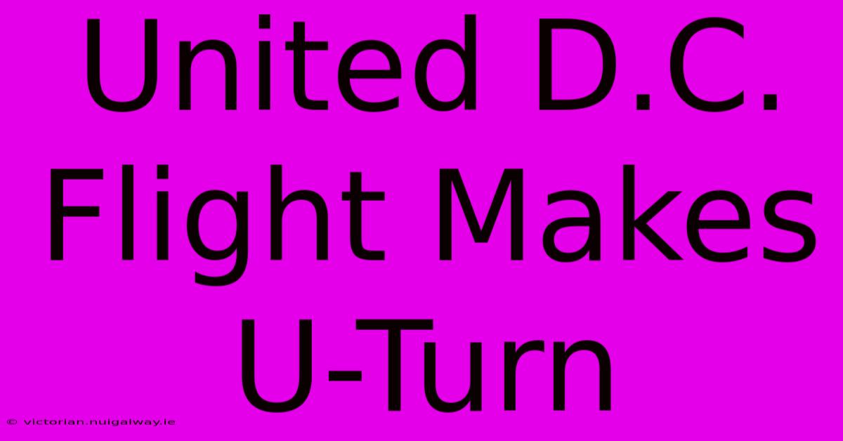 United D.C. Flight Makes U-Turn