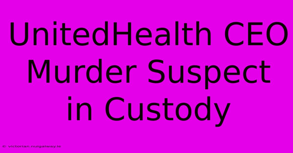 UnitedHealth CEO Murder Suspect In Custody