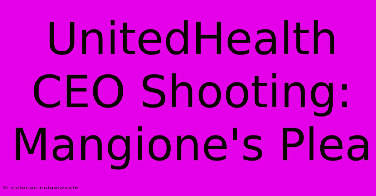 UnitedHealth CEO Shooting:  Mangione's Plea