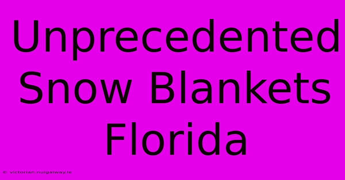 Unprecedented Snow Blankets Florida