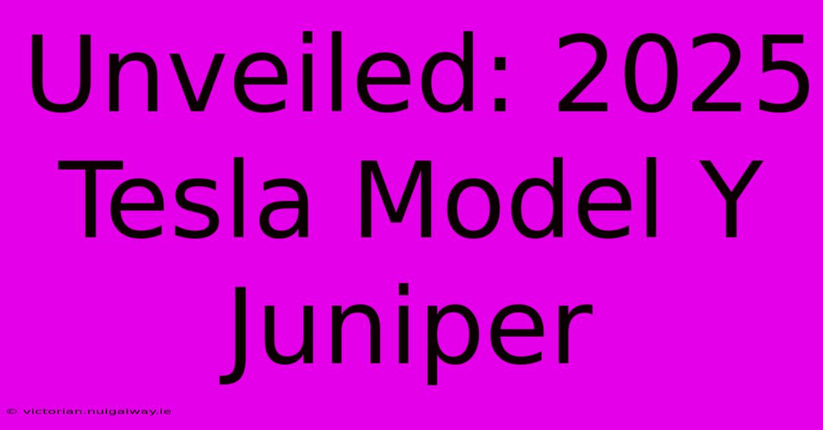 Unveiled: 2025 Tesla Model Y Juniper