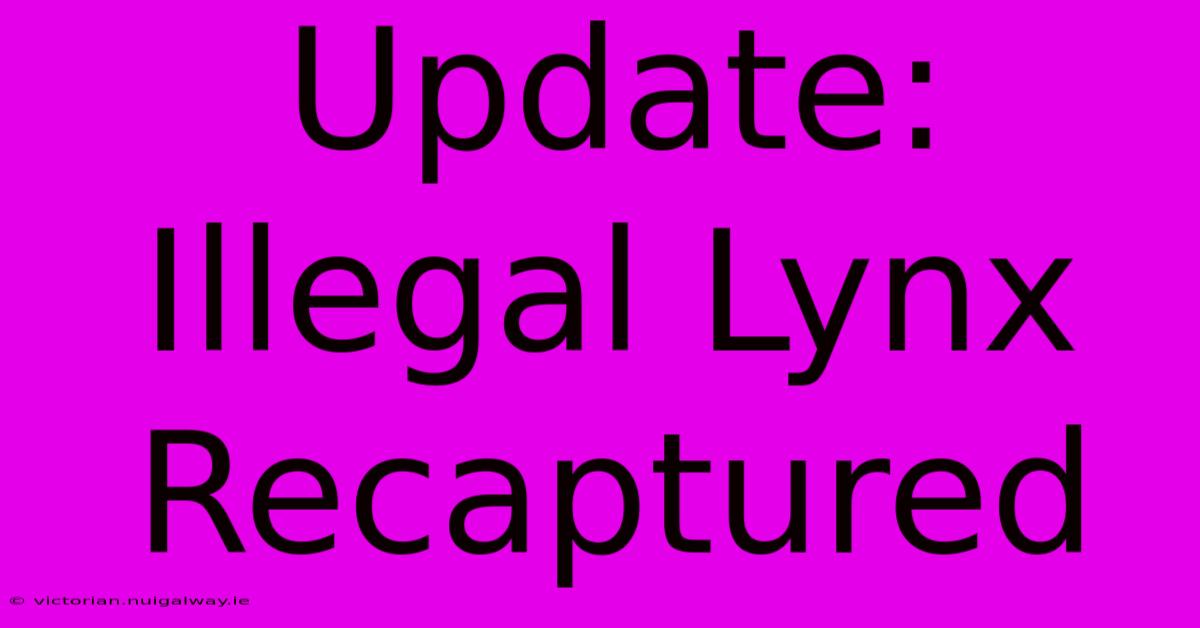 Update: Illegal Lynx Recaptured