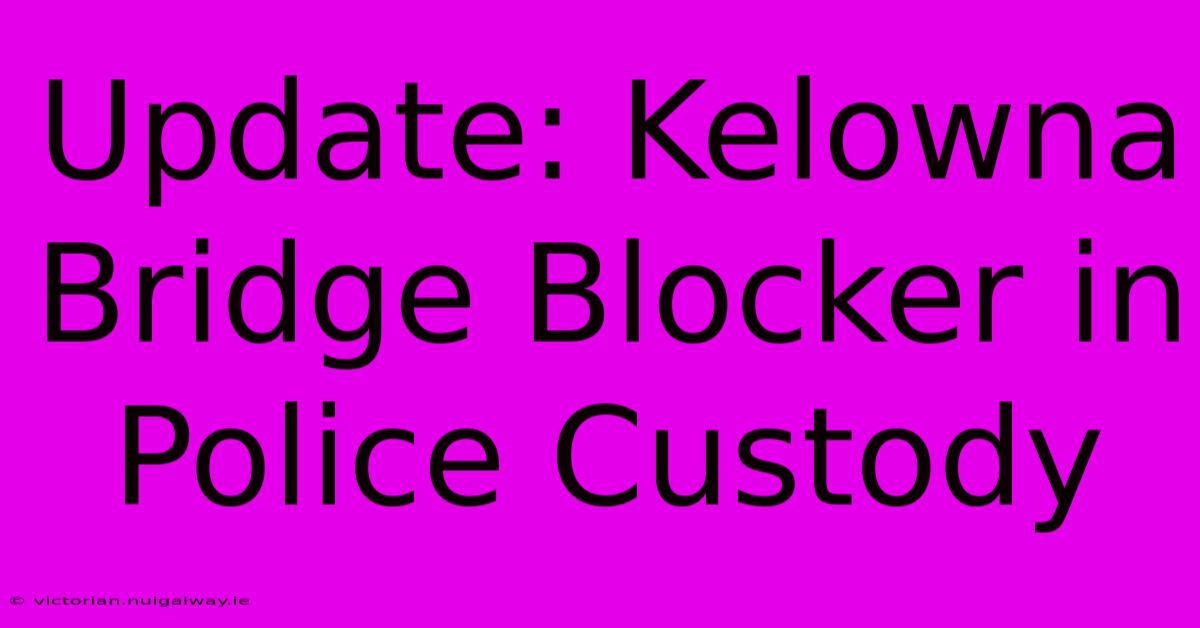 Update: Kelowna Bridge Blocker In Police Custody