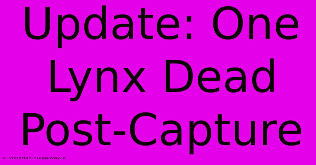 Update: One Lynx Dead Post-Capture