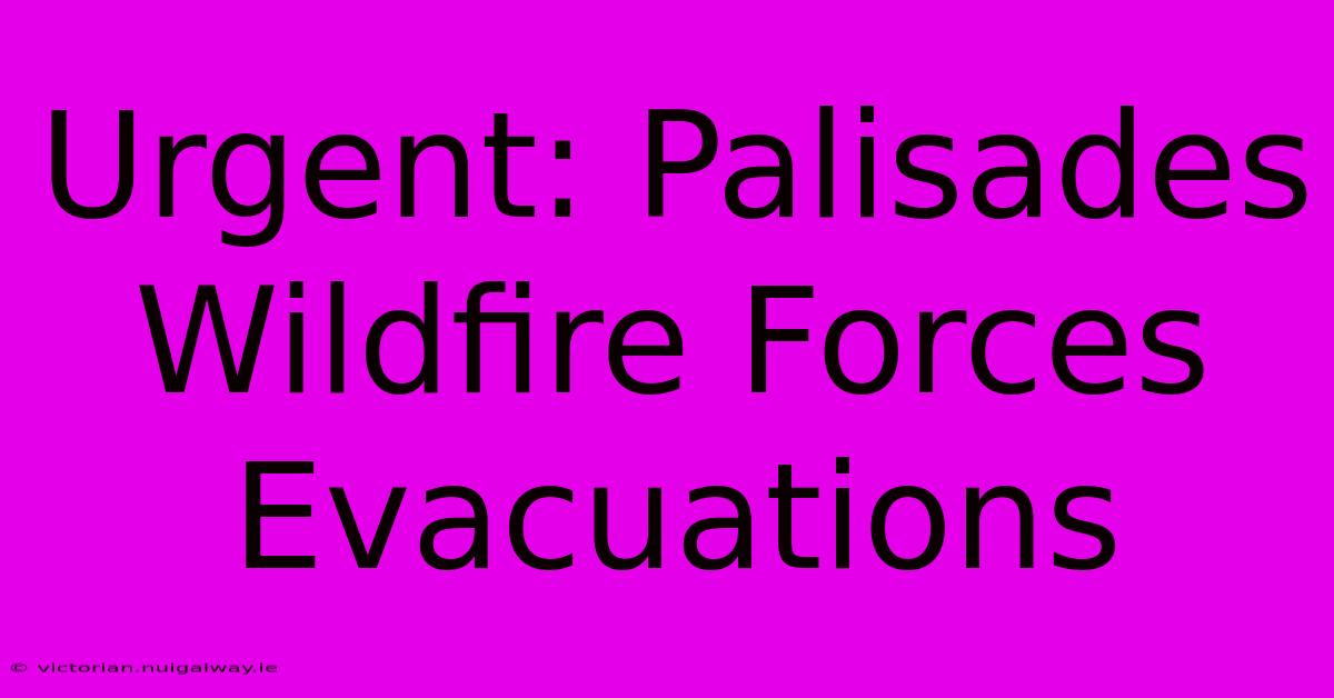 Urgent: Palisades Wildfire Forces Evacuations