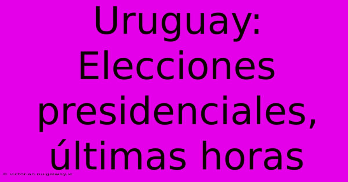 Uruguay: Elecciones Presidenciales, Últimas Horas