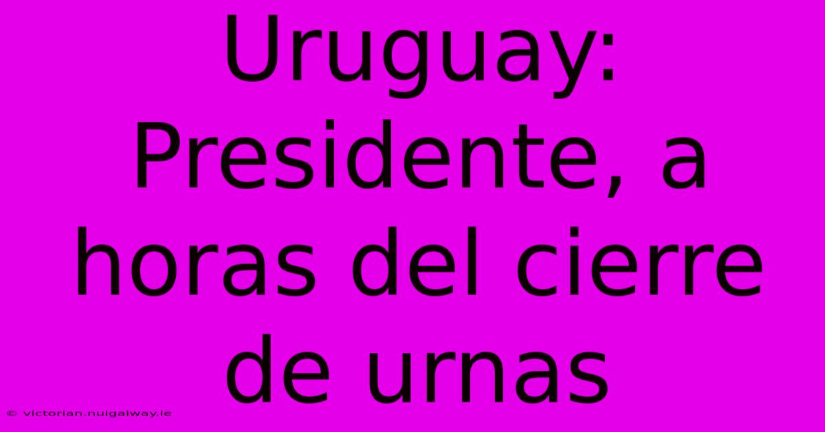 Uruguay: Presidente, A Horas Del Cierre De Urnas