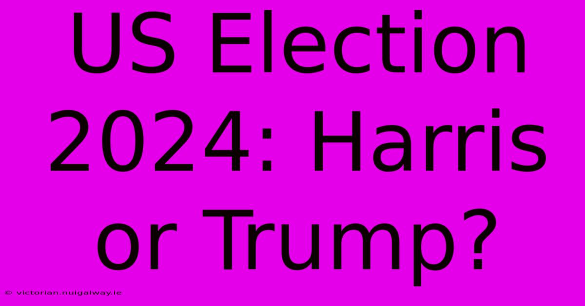 US Election 2024: Harris Or Trump?