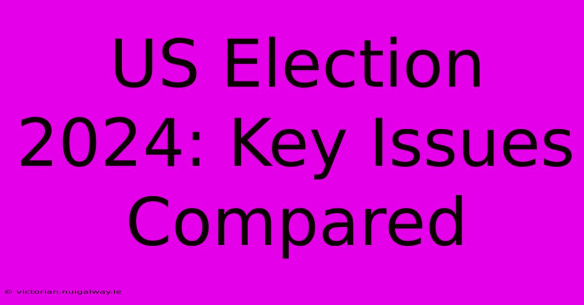 US Election 2024: Key Issues Compared