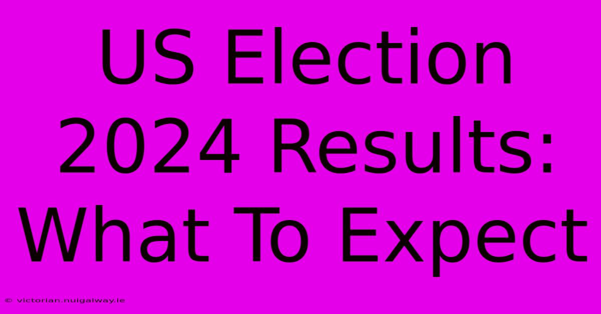 US Election 2024 Results: What To Expect 