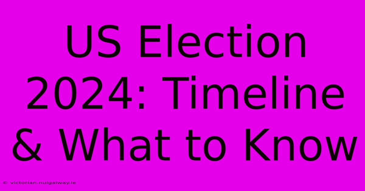 US Election 2024: Timeline & What To Know 