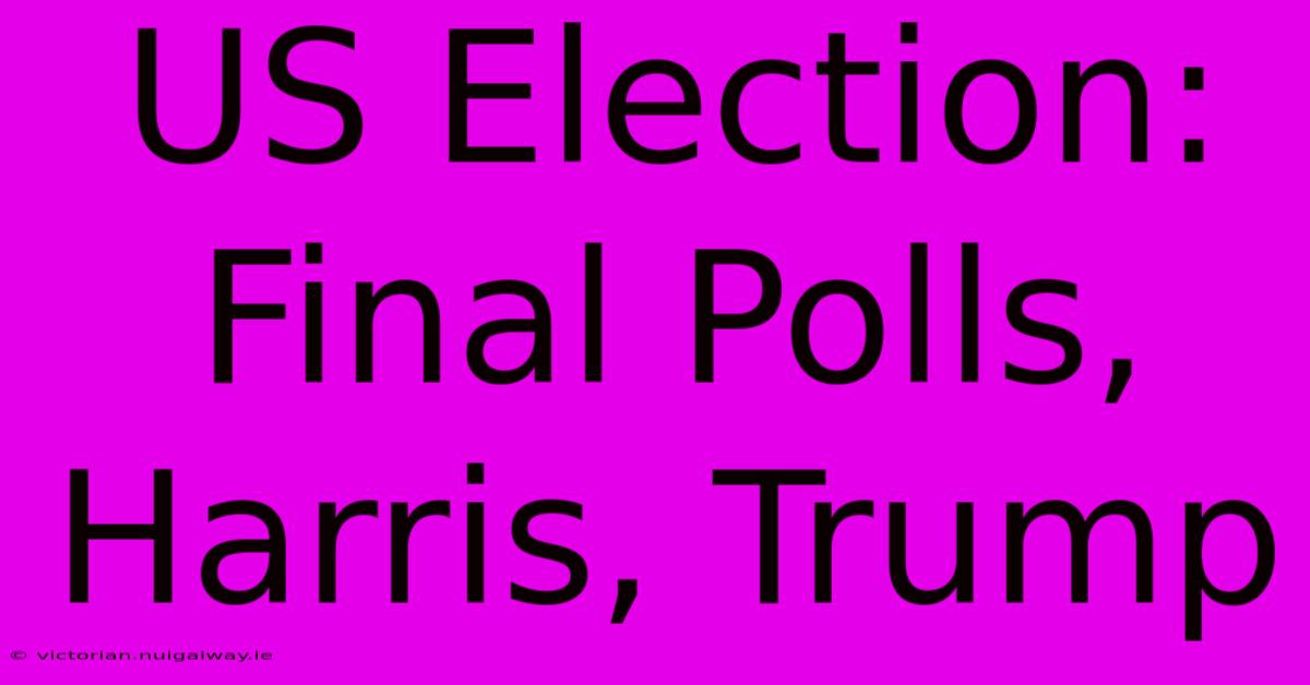 US Election: Final Polls, Harris, Trump