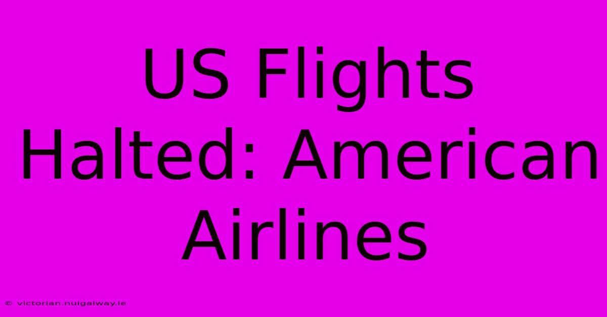 US Flights Halted: American Airlines