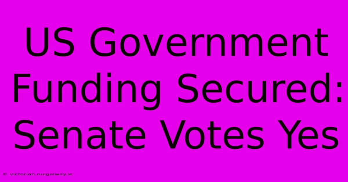 US Government Funding Secured: Senate Votes Yes