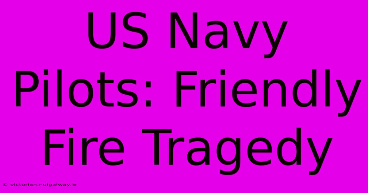 US Navy Pilots: Friendly Fire Tragedy