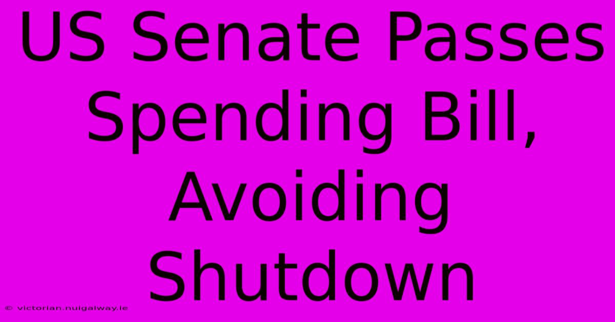 US Senate Passes Spending Bill, Avoiding Shutdown