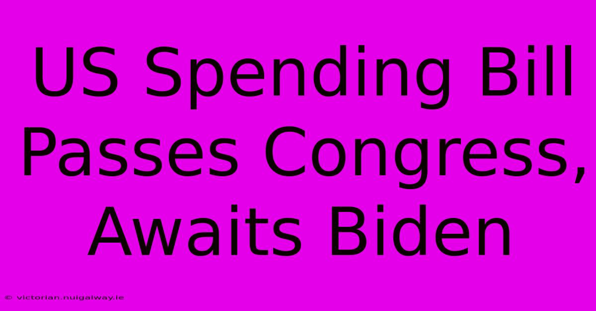 US Spending Bill Passes Congress, Awaits Biden