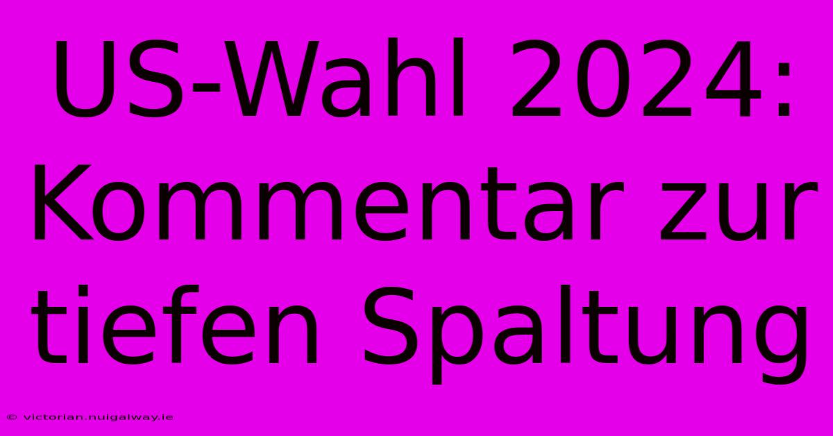 US-Wahl 2024: Kommentar Zur Tiefen Spaltung