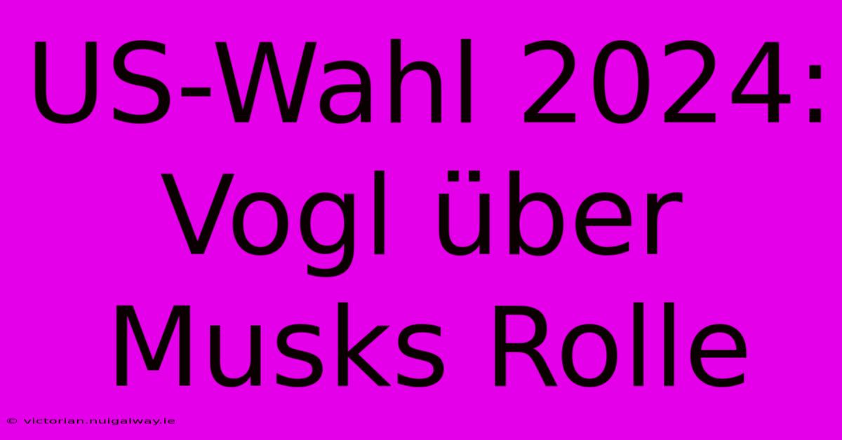 US-Wahl 2024: Vogl Über Musks Rolle