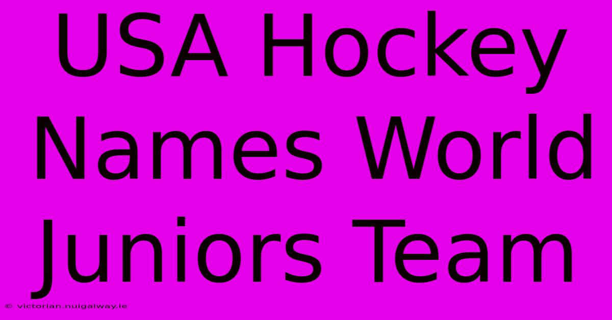 USA Hockey Names World Juniors Team