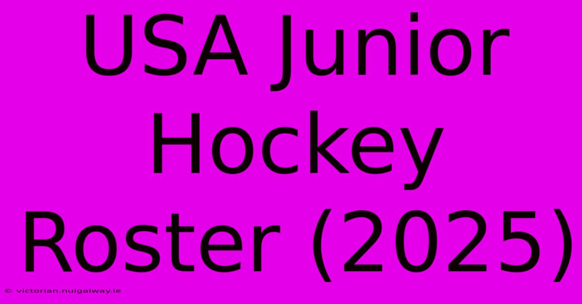 USA Junior Hockey Roster (2025)