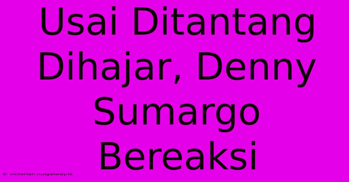 Usai Ditantang Dihajar, Denny Sumargo Bereaksi