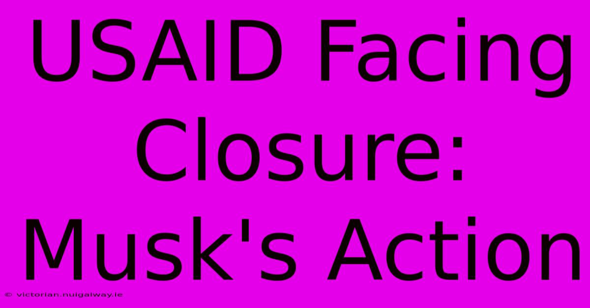 USAID Facing Closure: Musk's Action