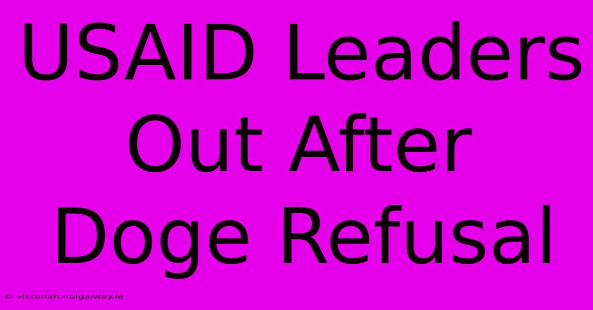 USAID Leaders Out After Doge Refusal