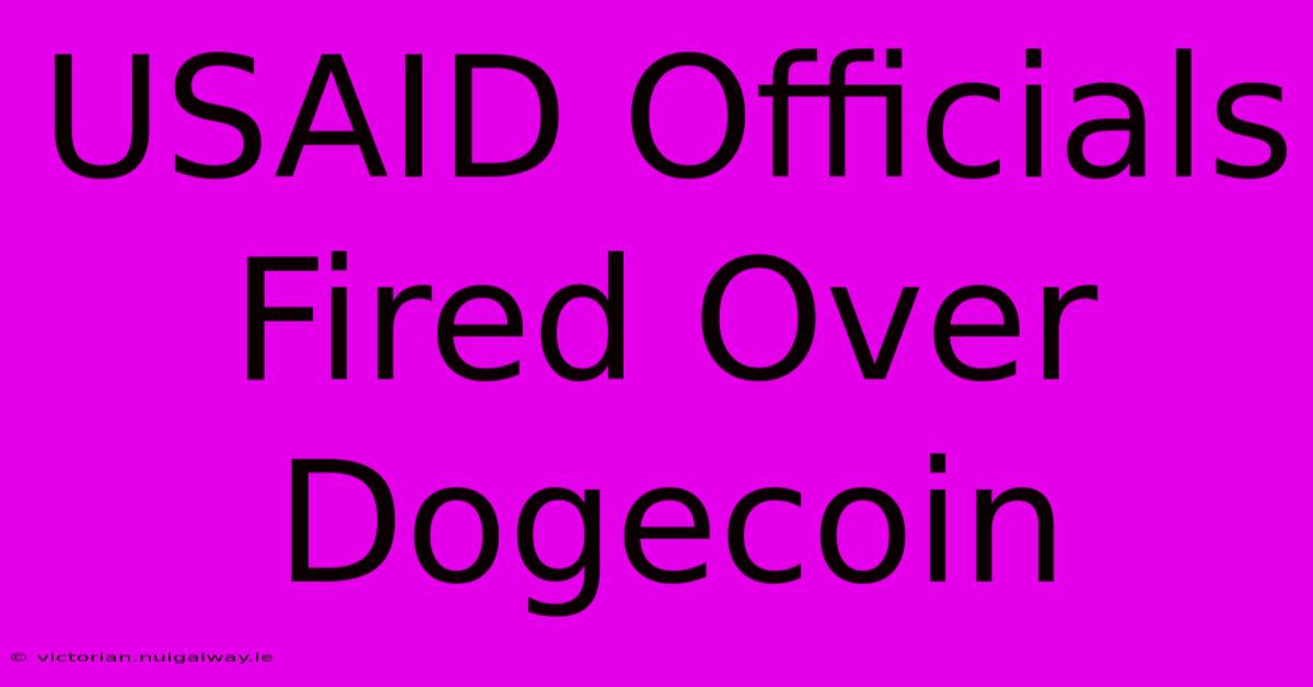 USAID Officials Fired Over Dogecoin