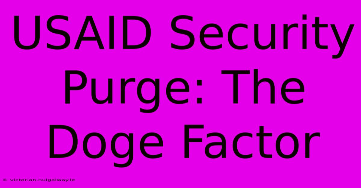 USAID Security Purge: The Doge Factor