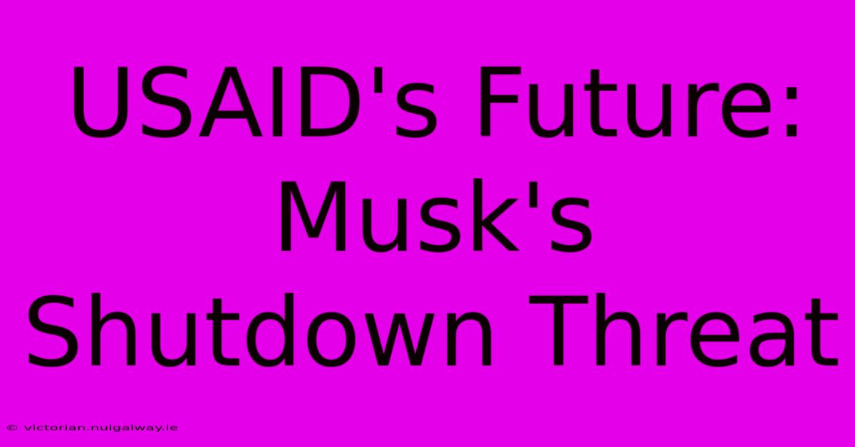 USAID's Future: Musk's Shutdown Threat