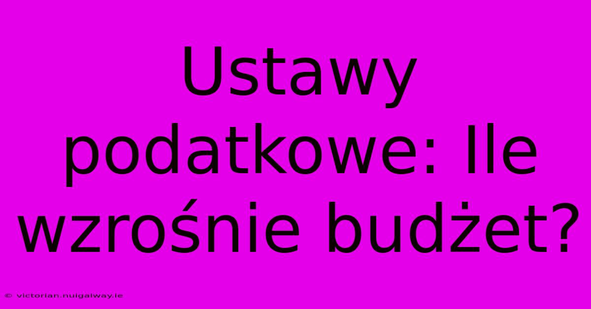 Ustawy Podatkowe: Ile Wzrośnie Budżet?