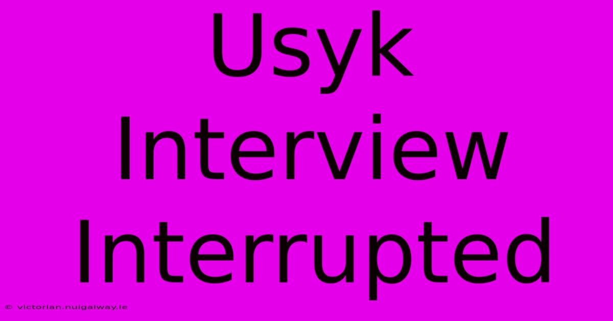 Usyk Interview Interrupted