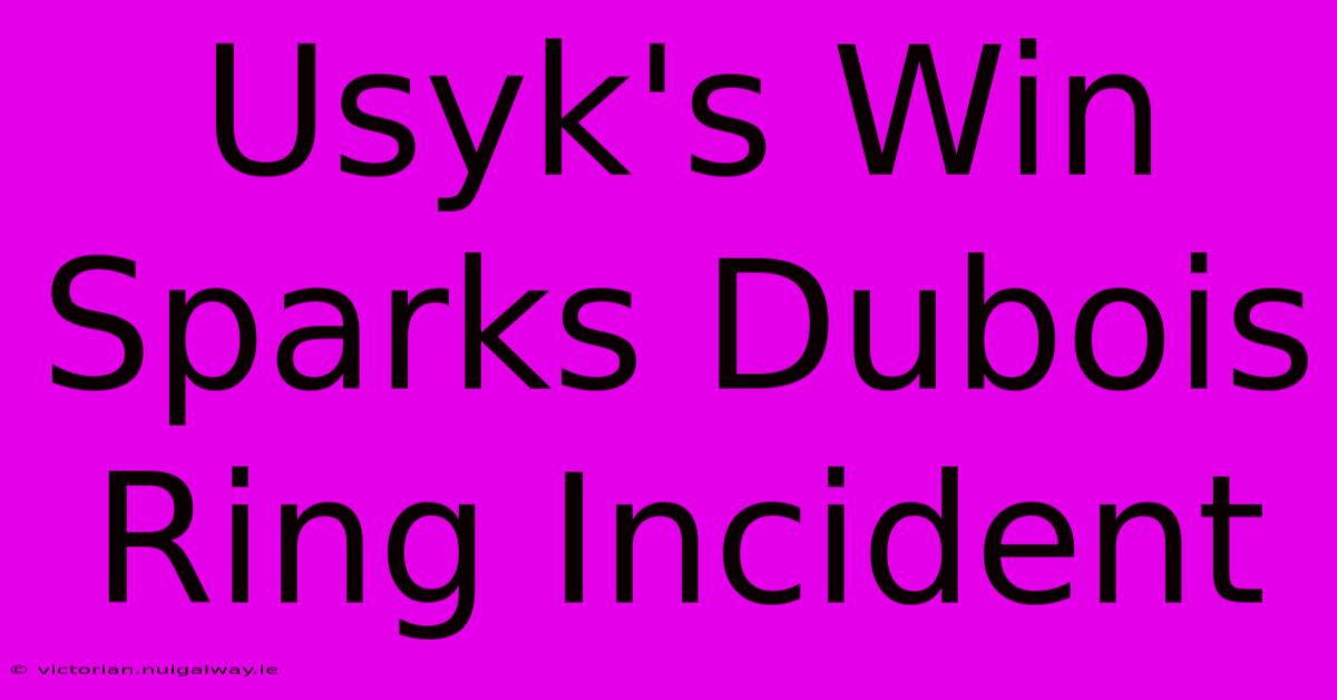 Usyk's Win Sparks Dubois Ring Incident