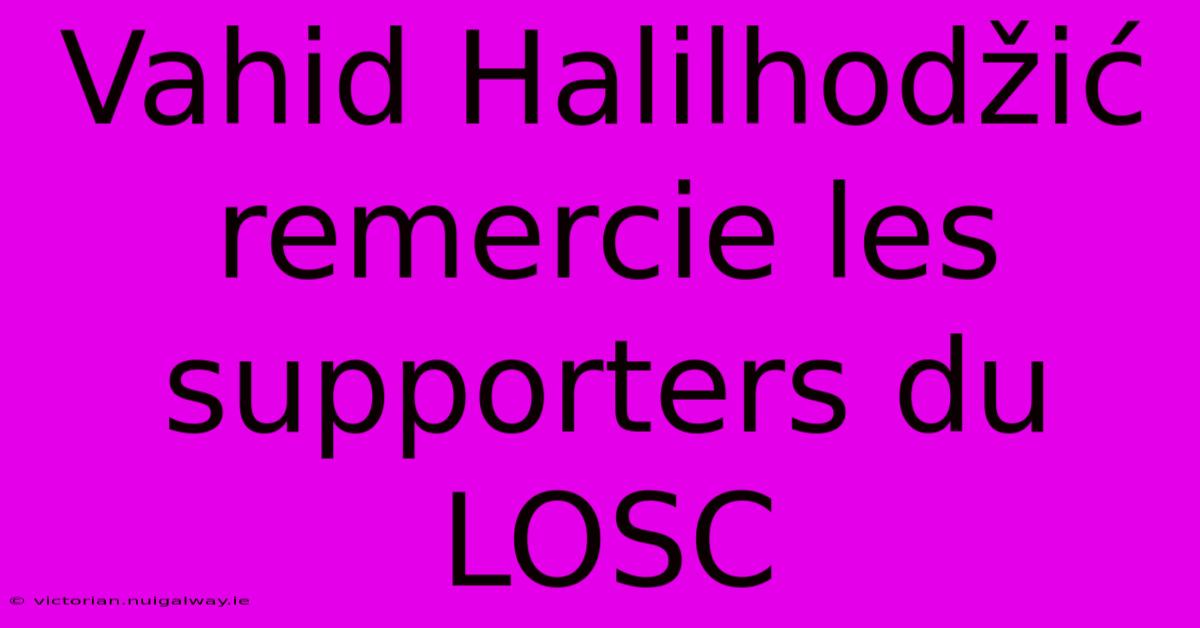 Vahid Halilhodžić Remercie Les Supporters Du LOSC