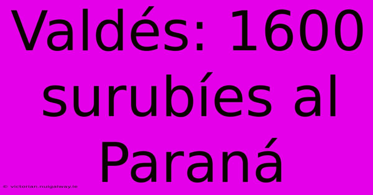 Valdés: 1600 Surubíes Al Paraná